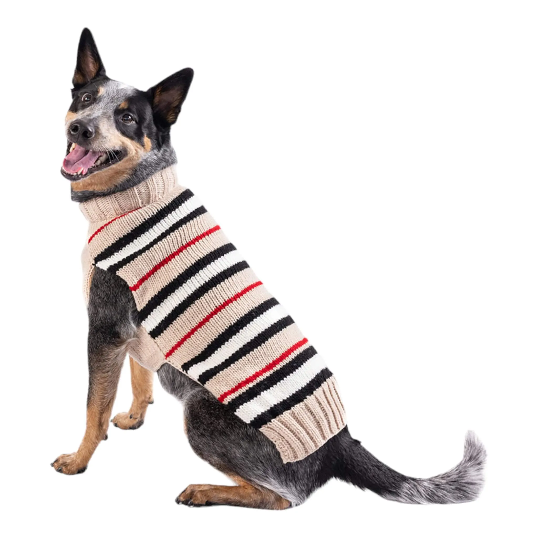 Alpaca Bentley Stripe Dog Sweater