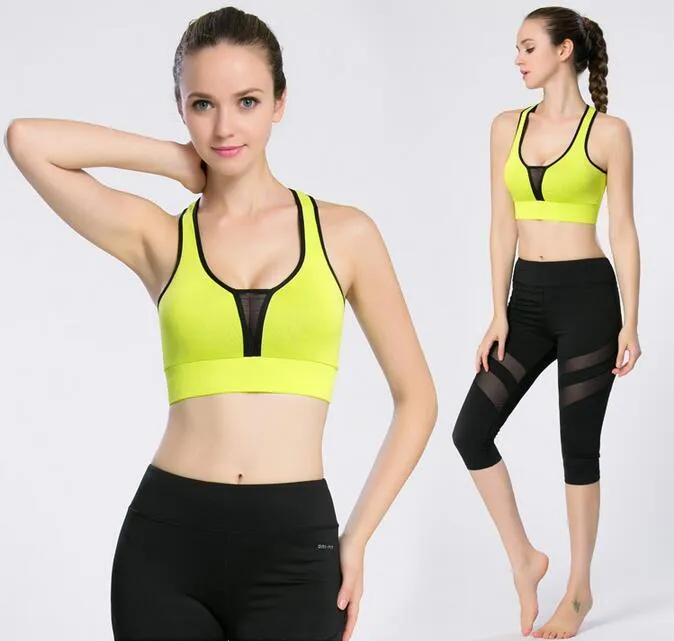 Beautiful Candy Colors Sports Bra for Women