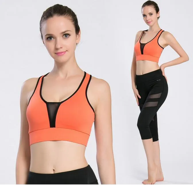 Beautiful Candy Colors Sports Bra for Women