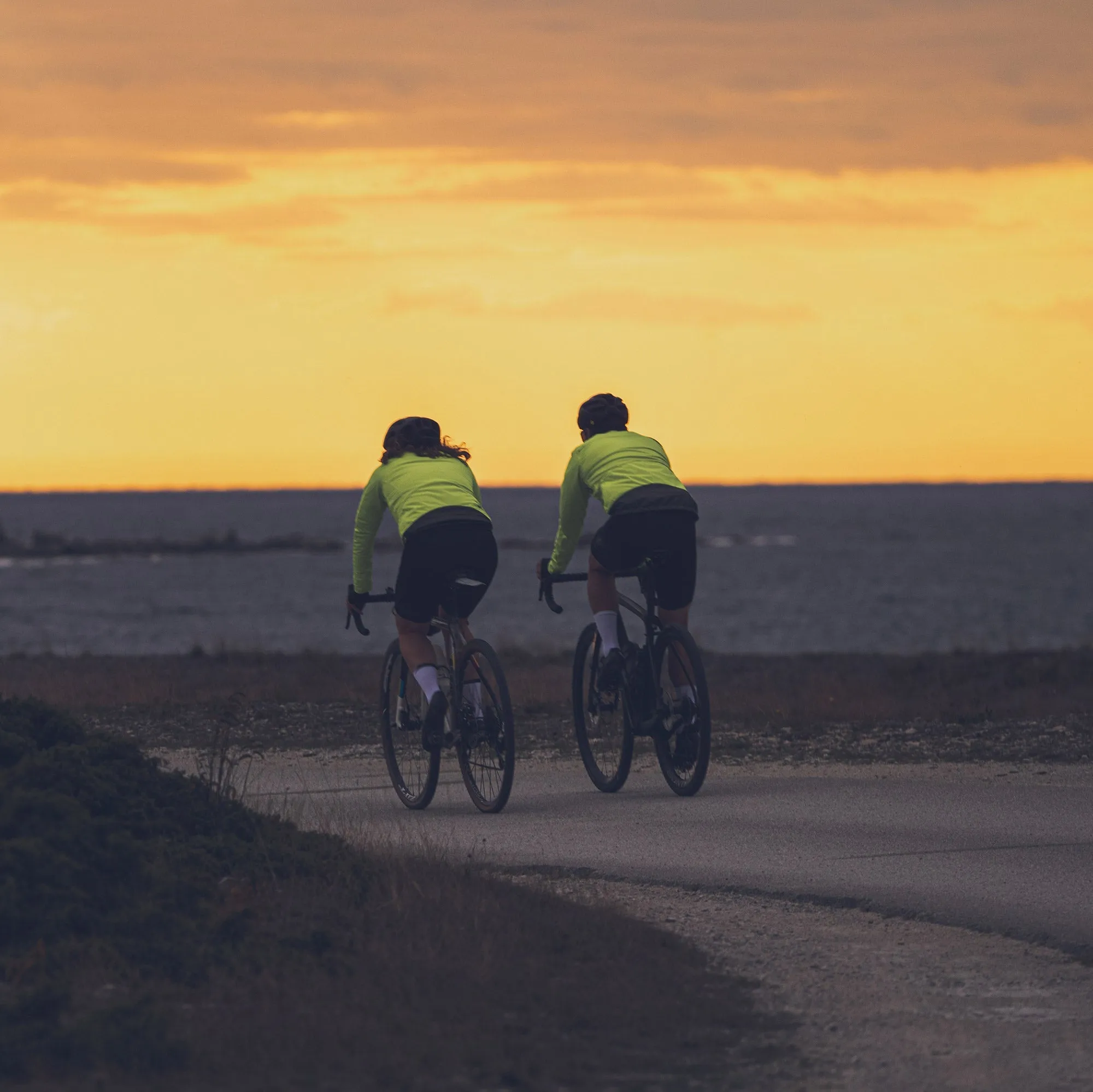 Gotlandsleden Tour Men's Hi-viz Yellow Merino Softshell Cycling Jacket